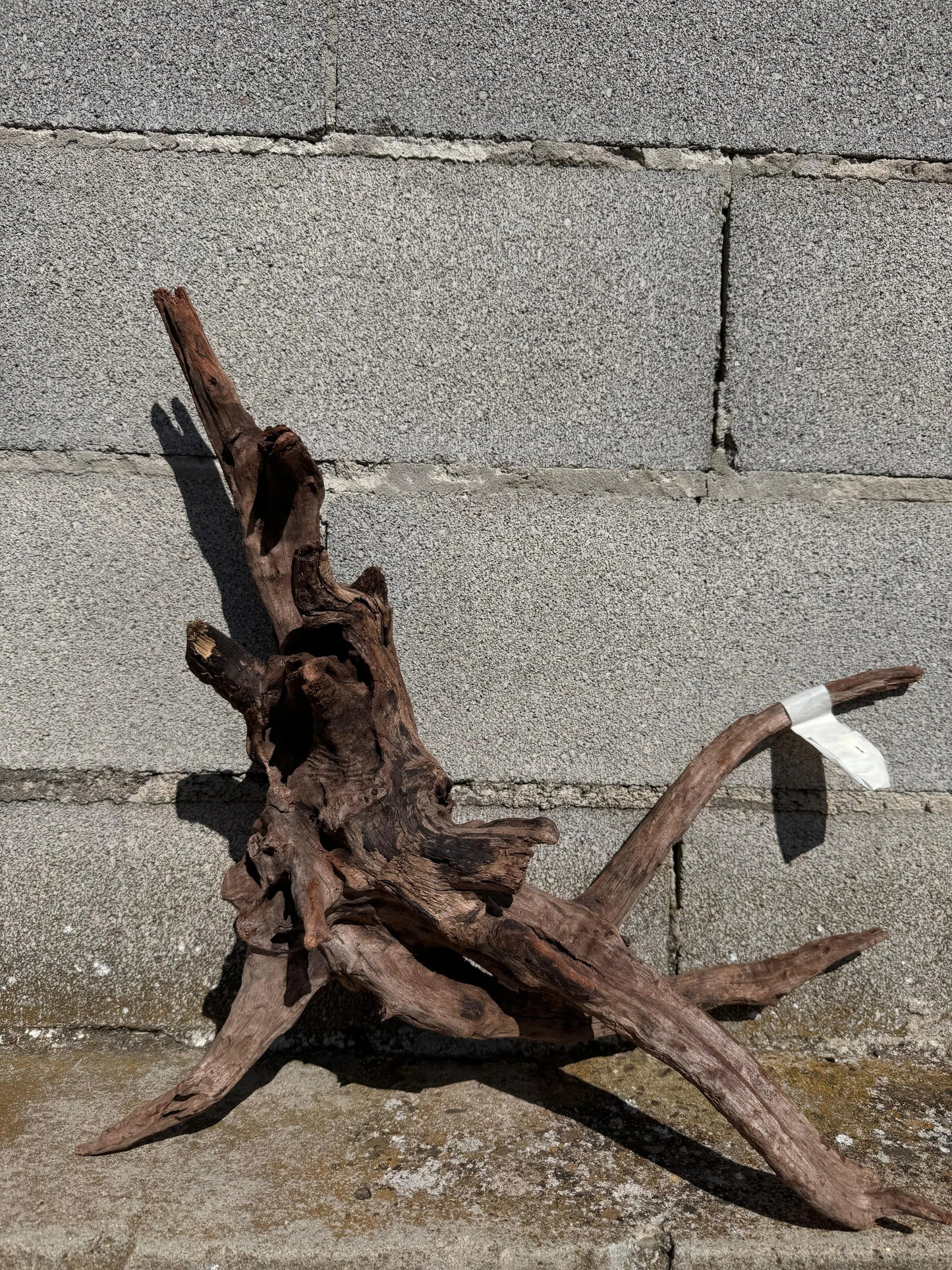 Drift Wood - 50*20*47 AQPET