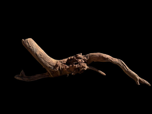 Drift Wood - 69*18*22 - cod.074 AQPET