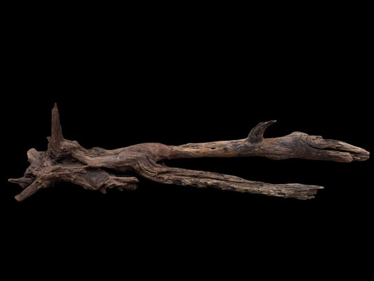 Drift Wood - 81*28*24 - cod.077 AQPET