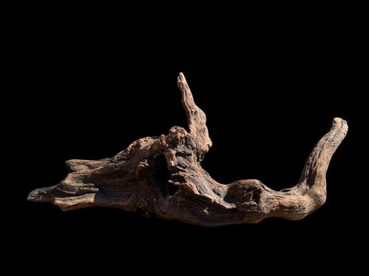 Drift Wood - 66*20*25 - cod.071 AQPET