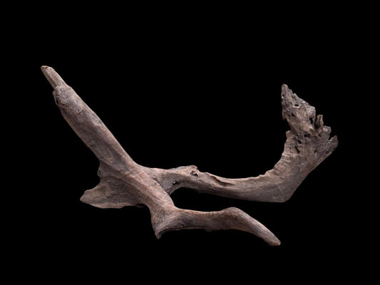 Drift Wood - 76*47*36 - cod.078 AQPET