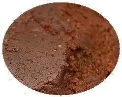 DISCUS FOOD Artemia Paste Aquarium Setup