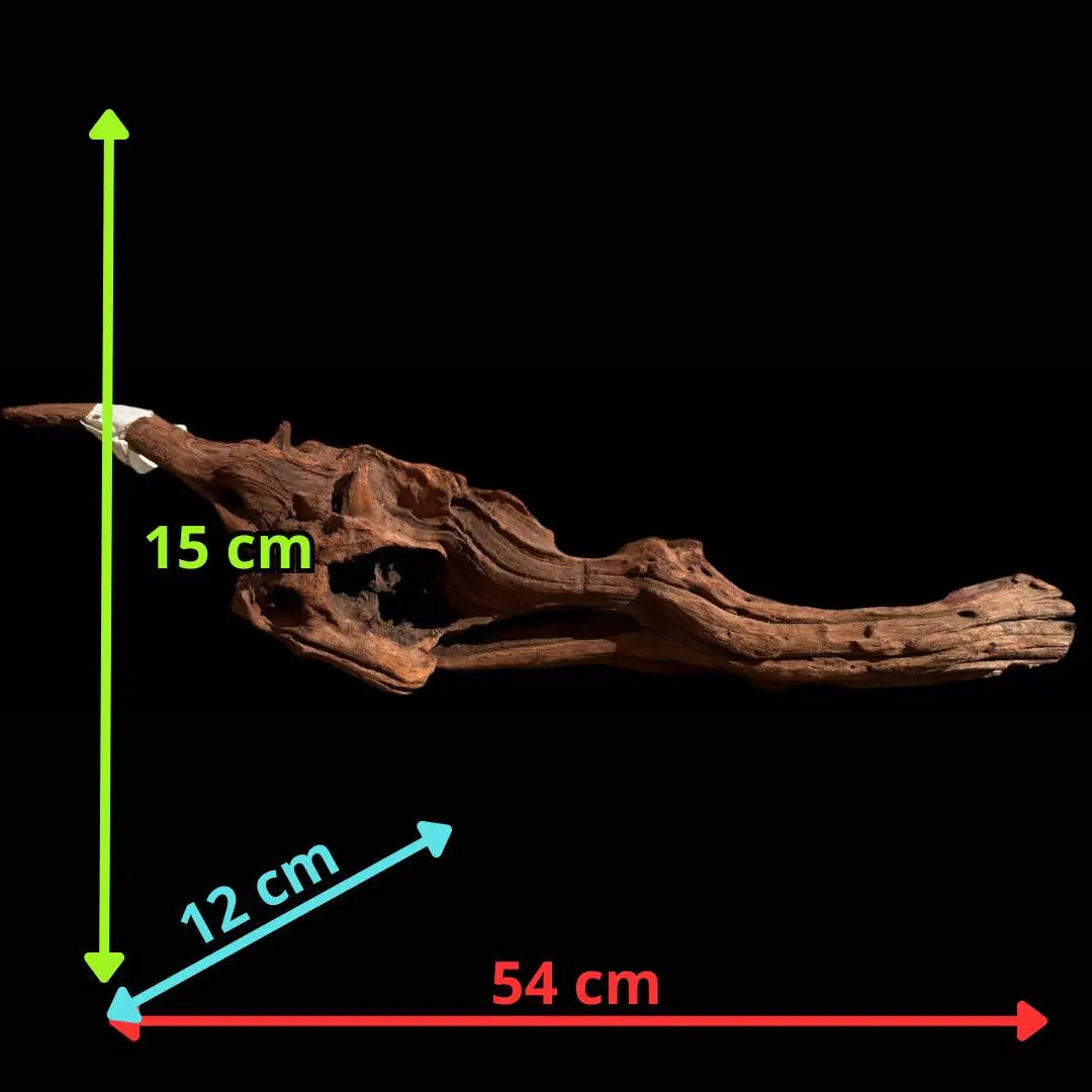 Drift Wood - 54*12*15 - cod.026 AQPET
