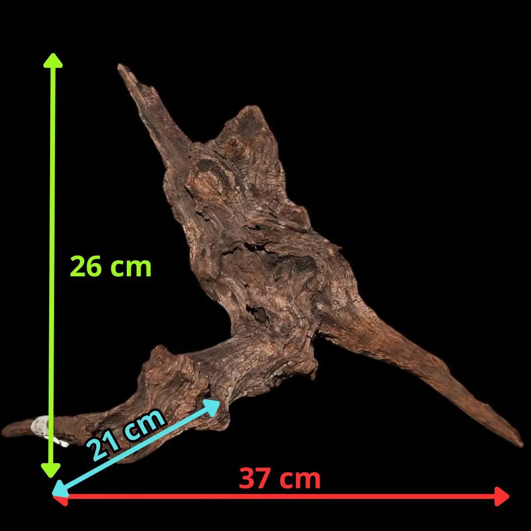 Drift Wood - 37*21*36 - cod.015 AQPET