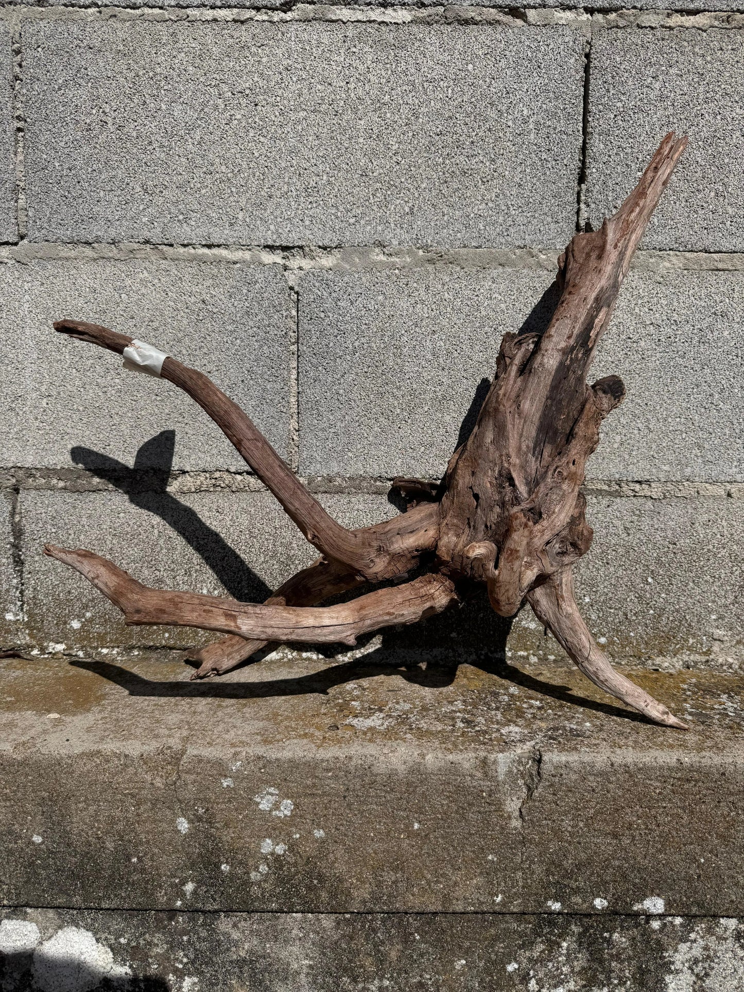 Drift Wood - 50*20*47 AQPET