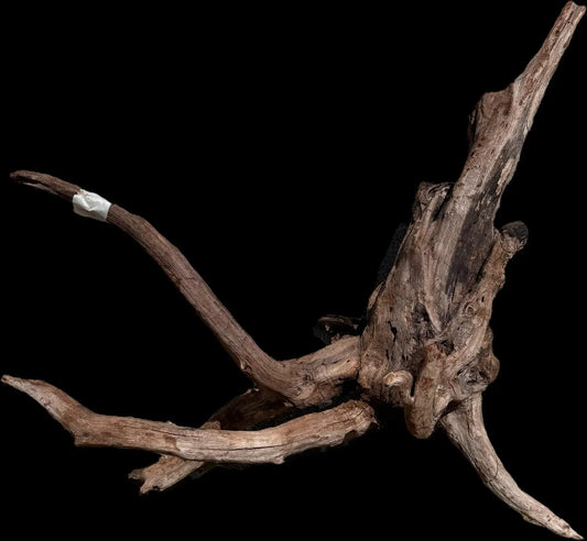 Drift Wood - 50*20*47 AQPET