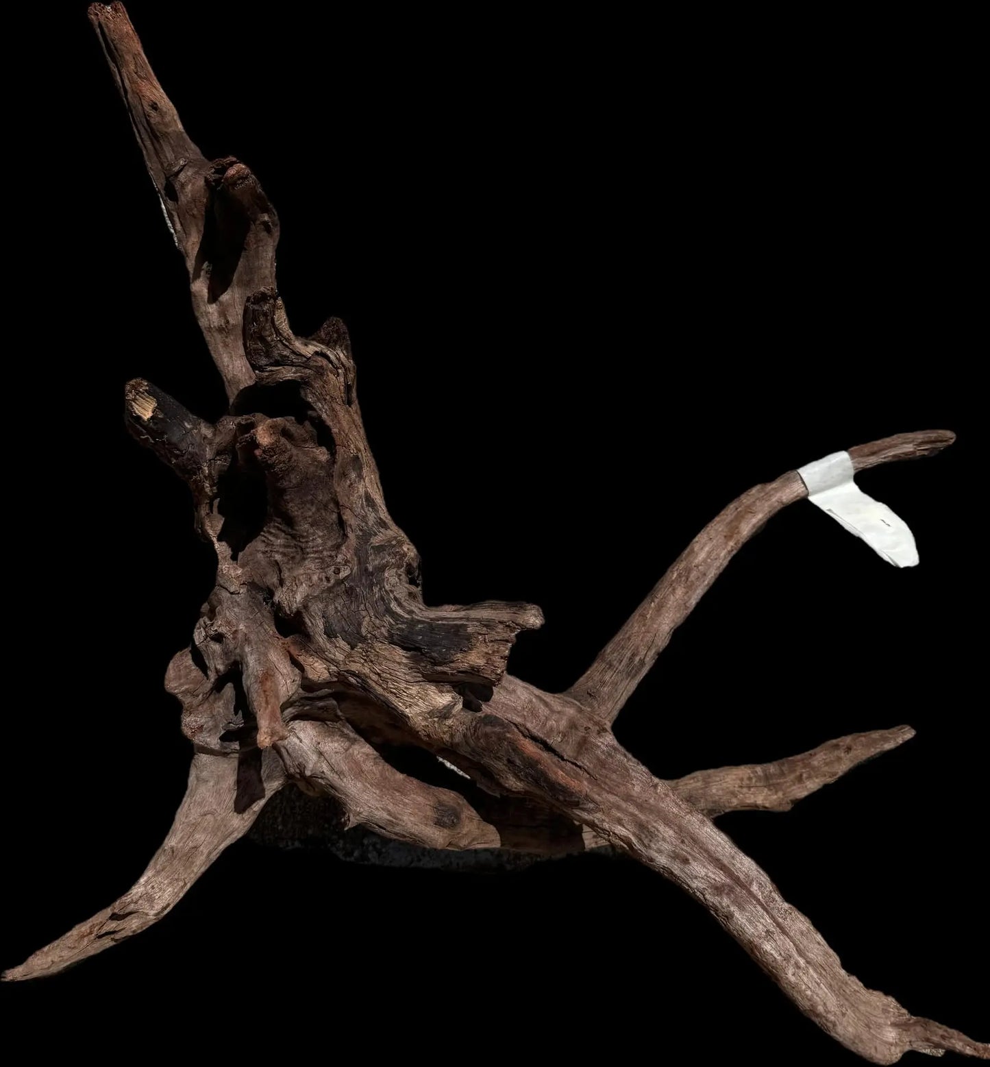 Drift Wood - 50*20*47 AQPET