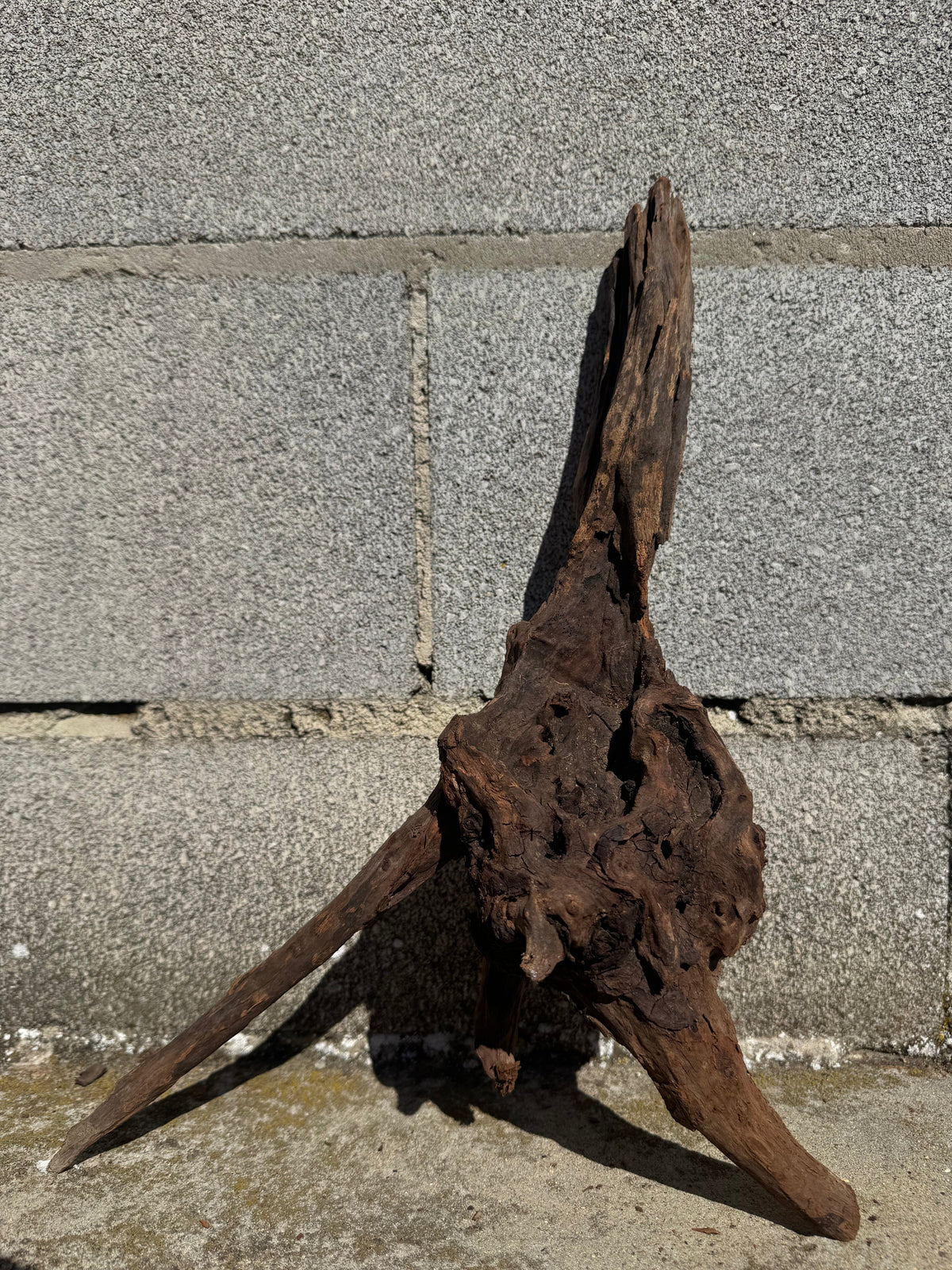 Drift Wood - 46*11*25 - cod.117 WHIMAR