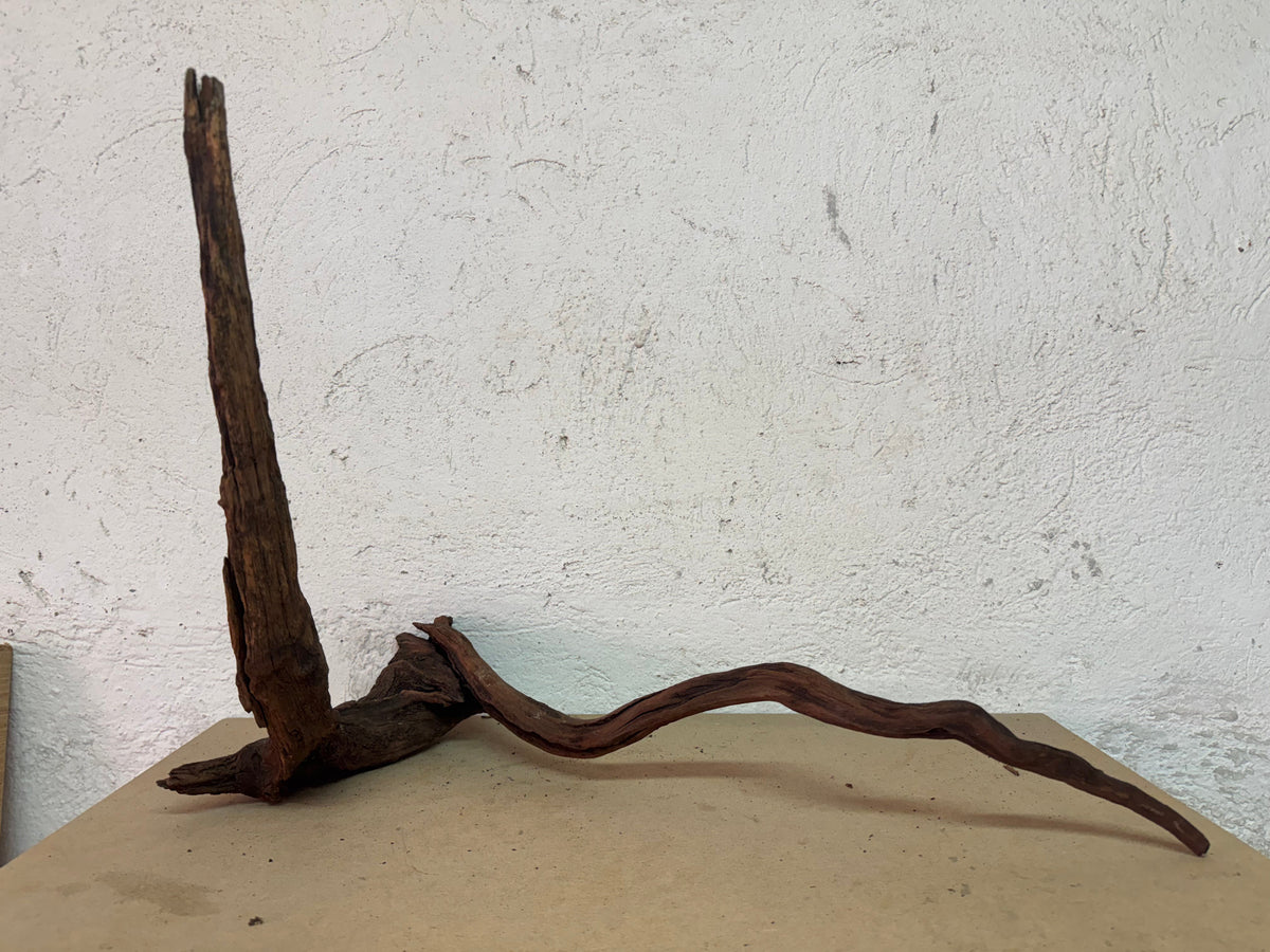 Drift Wood - 53*22*52 - cod.123 WHIMAR