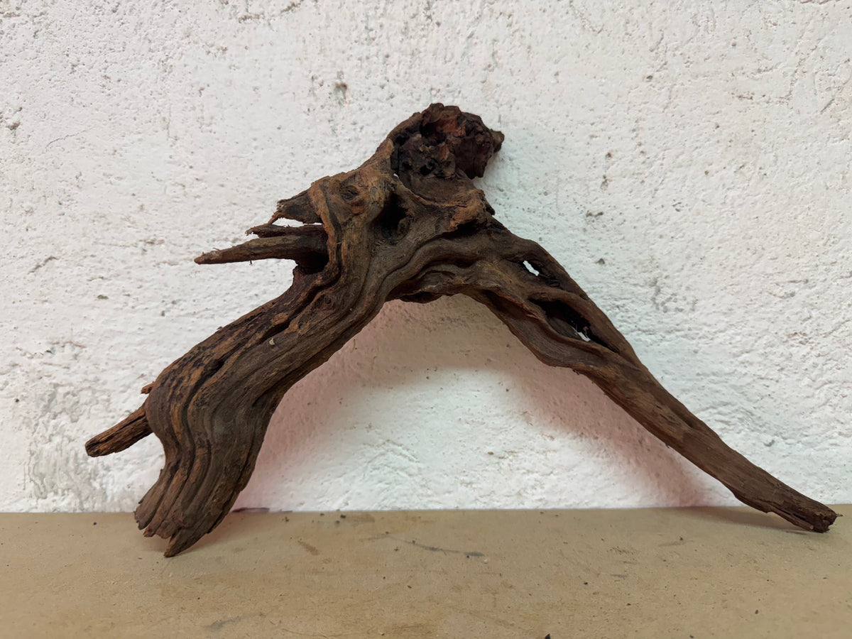 Drift Wood - 27*9*29 - cod.124 WHIMAR