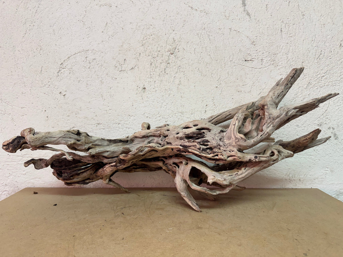 Drift Wood - 60*29*20 - cod.132 WHIMAR