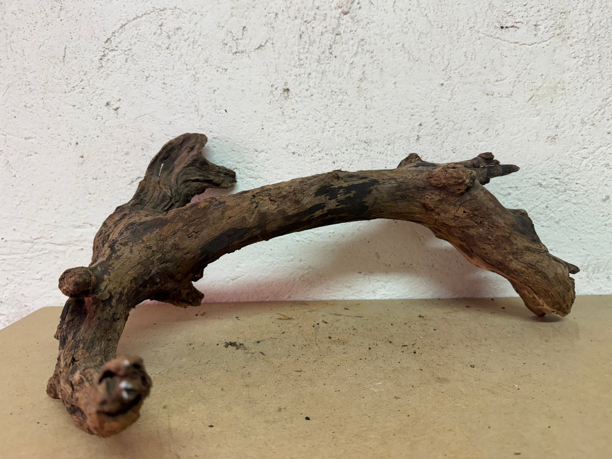 Drift Wood - 45*16*26 - cod.137 WHIMAR