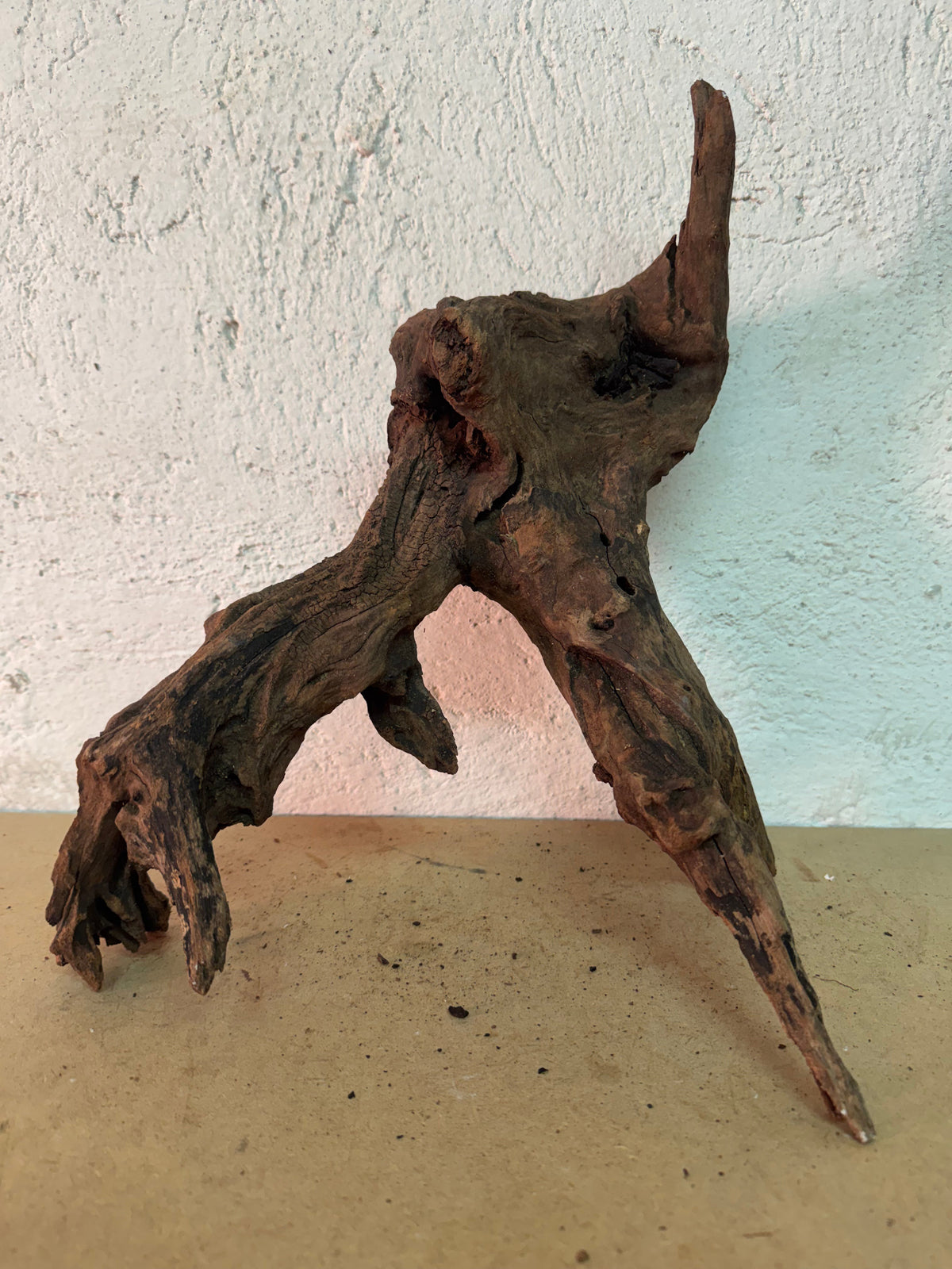 Drift Wood - 38*19*29 - cod.161 WHIMAR