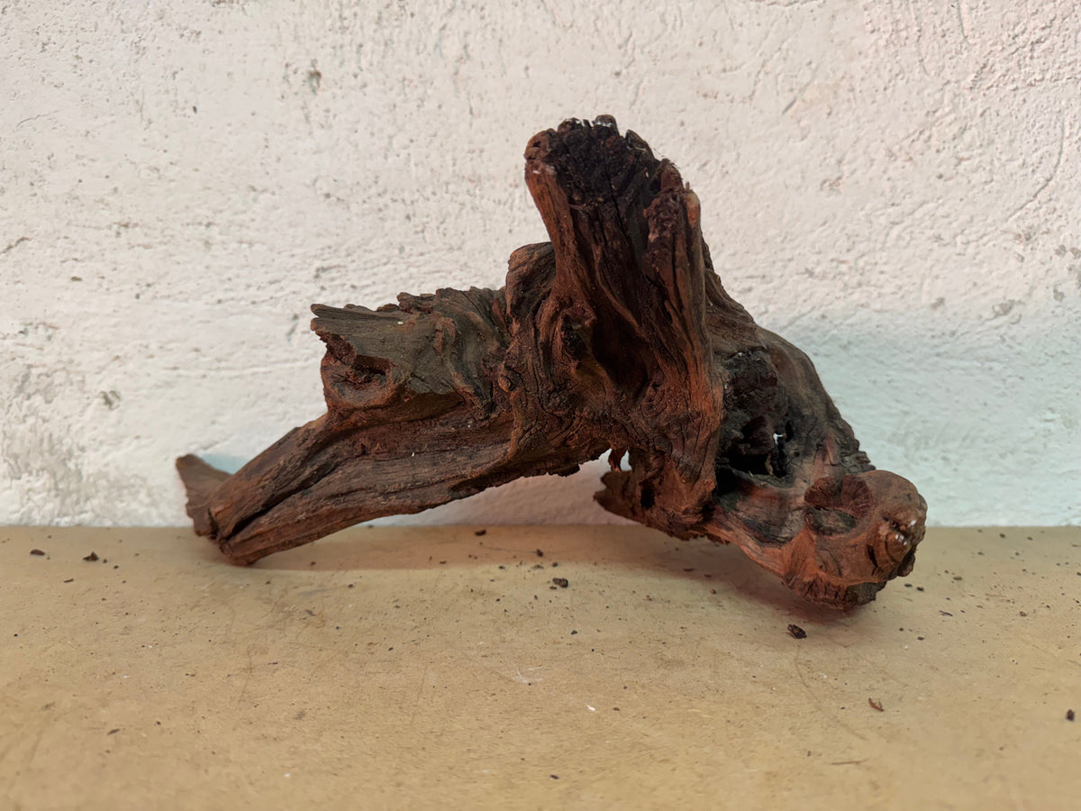 Drift Wood - 35*22*22 - cod.164 WHIMAR