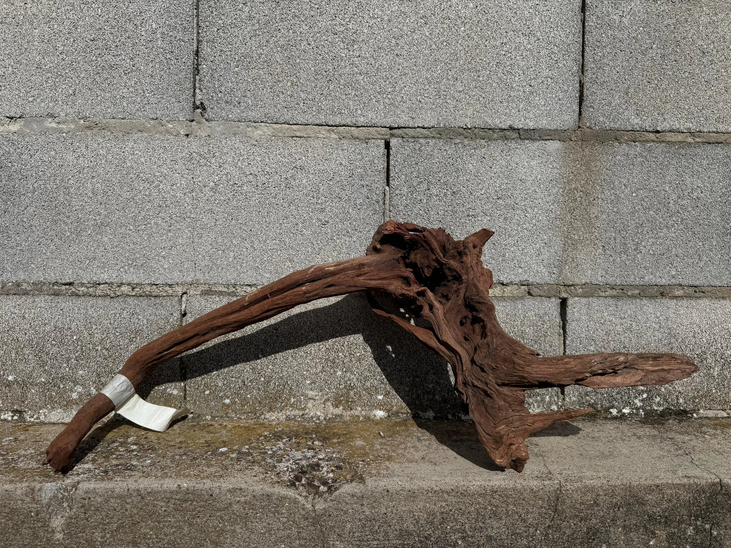 Drift Wood - 53*16*48 AQPET