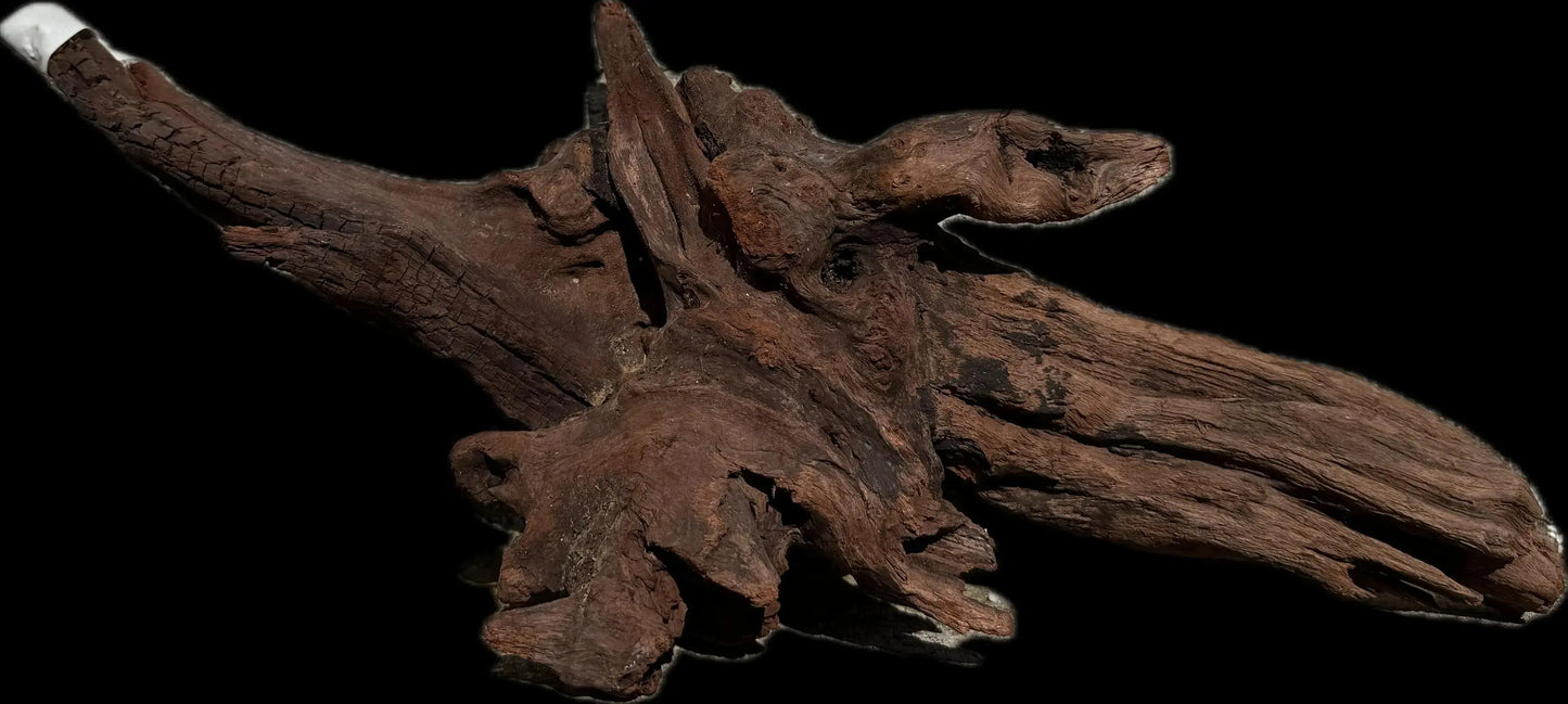 Drift Wood - 50*20*19 AQPET