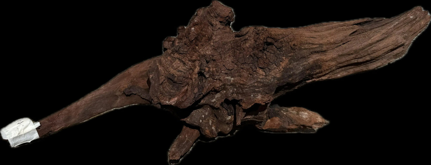 Drift Wood - 50*20*19 AQPET