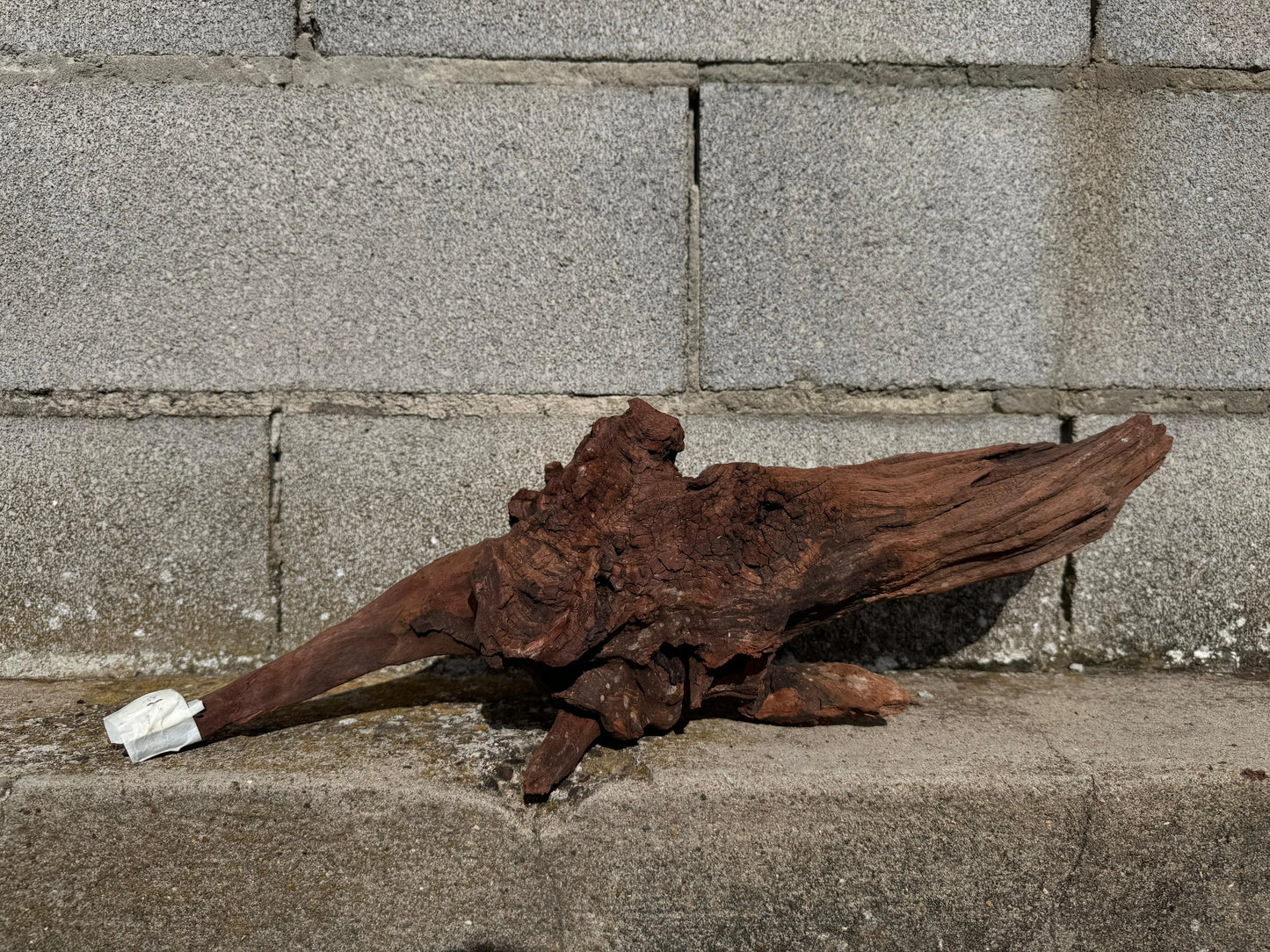 Drift Wood - 50*20*19 AQPET
