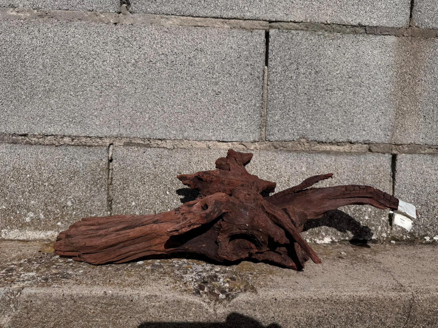 Drift Wood - 50*20*19 AQPET