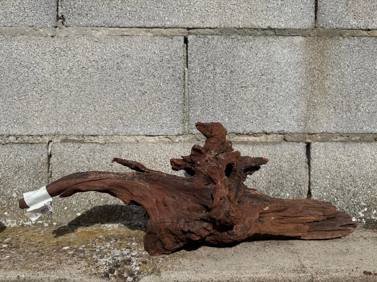 Drift Wood - 50*20*19 AQPET