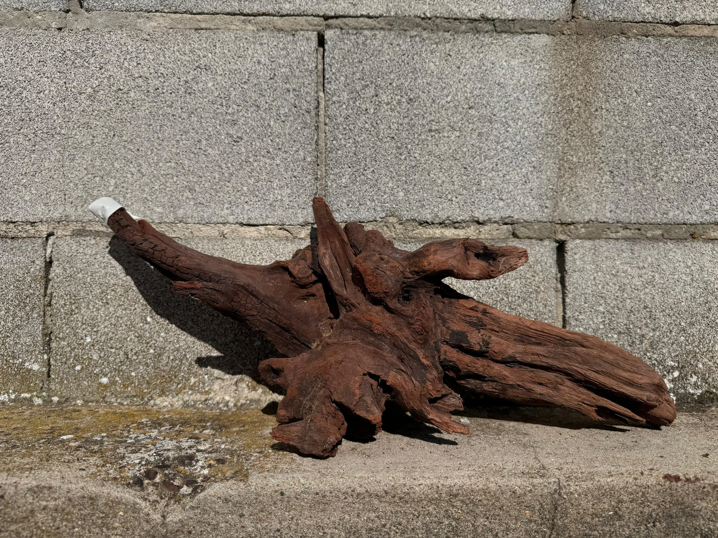 Drift Wood - 50*20*19 AQPET