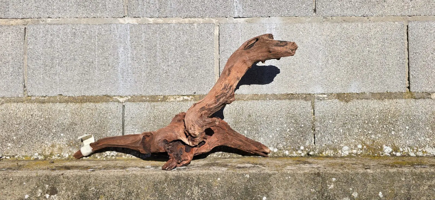 Drift Wood -62*20*29 - cod.003 AQPET