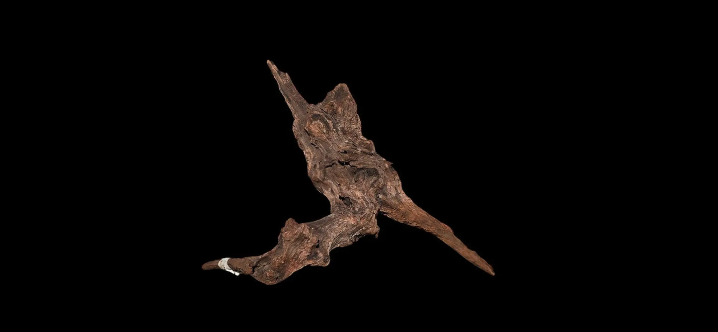 Drift Wood - 37*21*36 - cod.015 AQPET