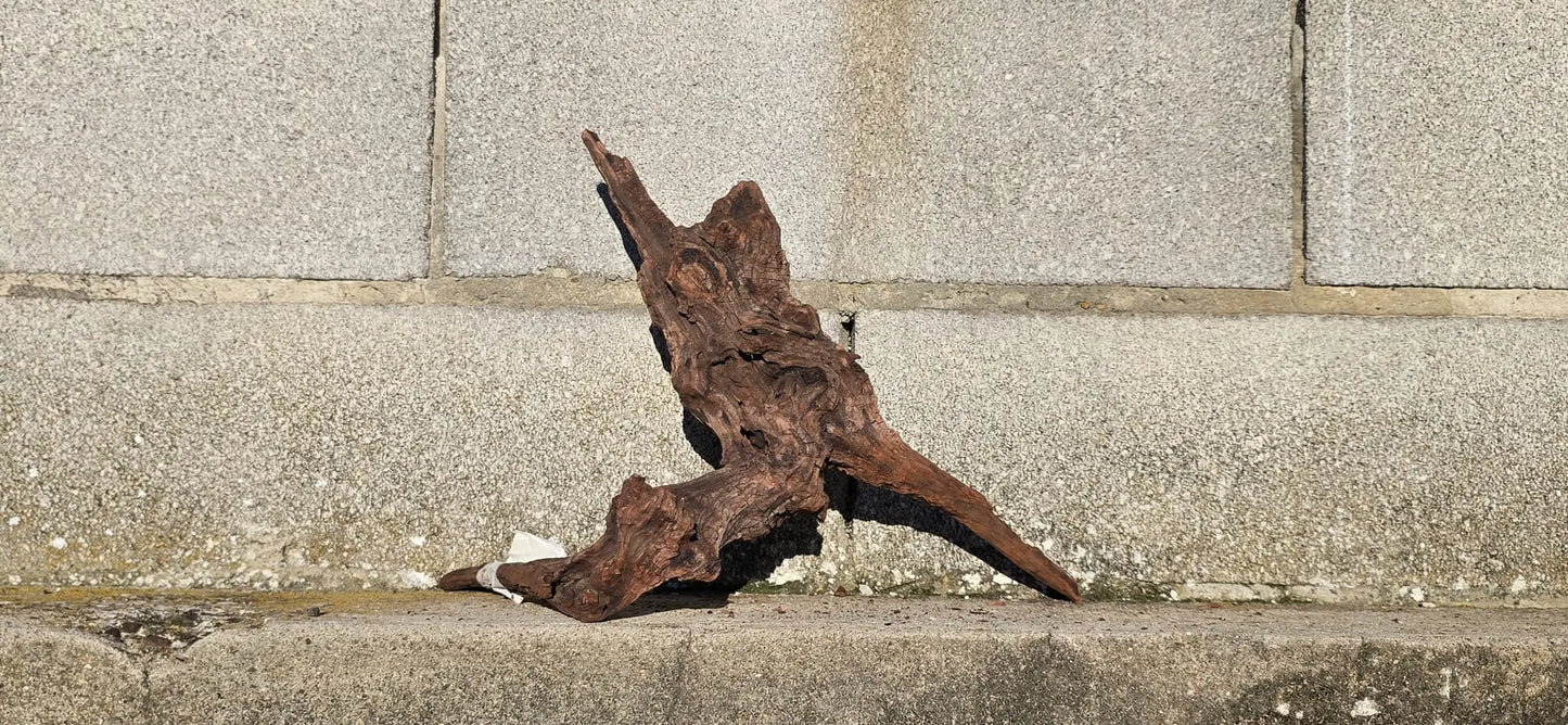 Drift Wood - 37*21*36 - cod.015 AQPET