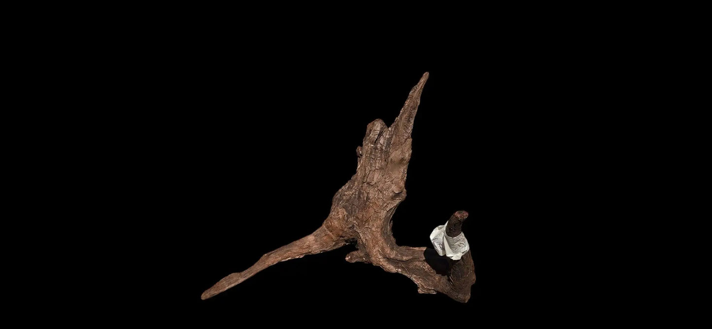 Drift Wood - 37*21*36 - cod.015 AQPET