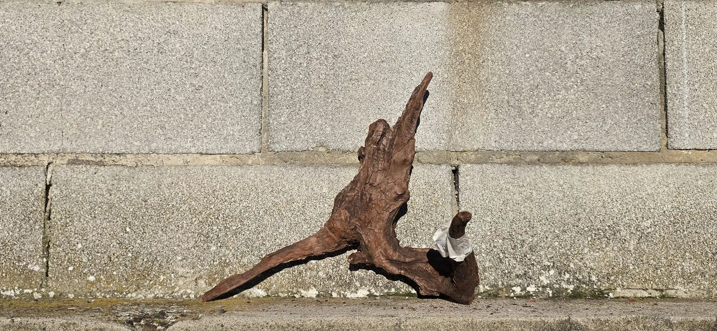 Drift Wood - 37*21*36 - cod.015 AQPET