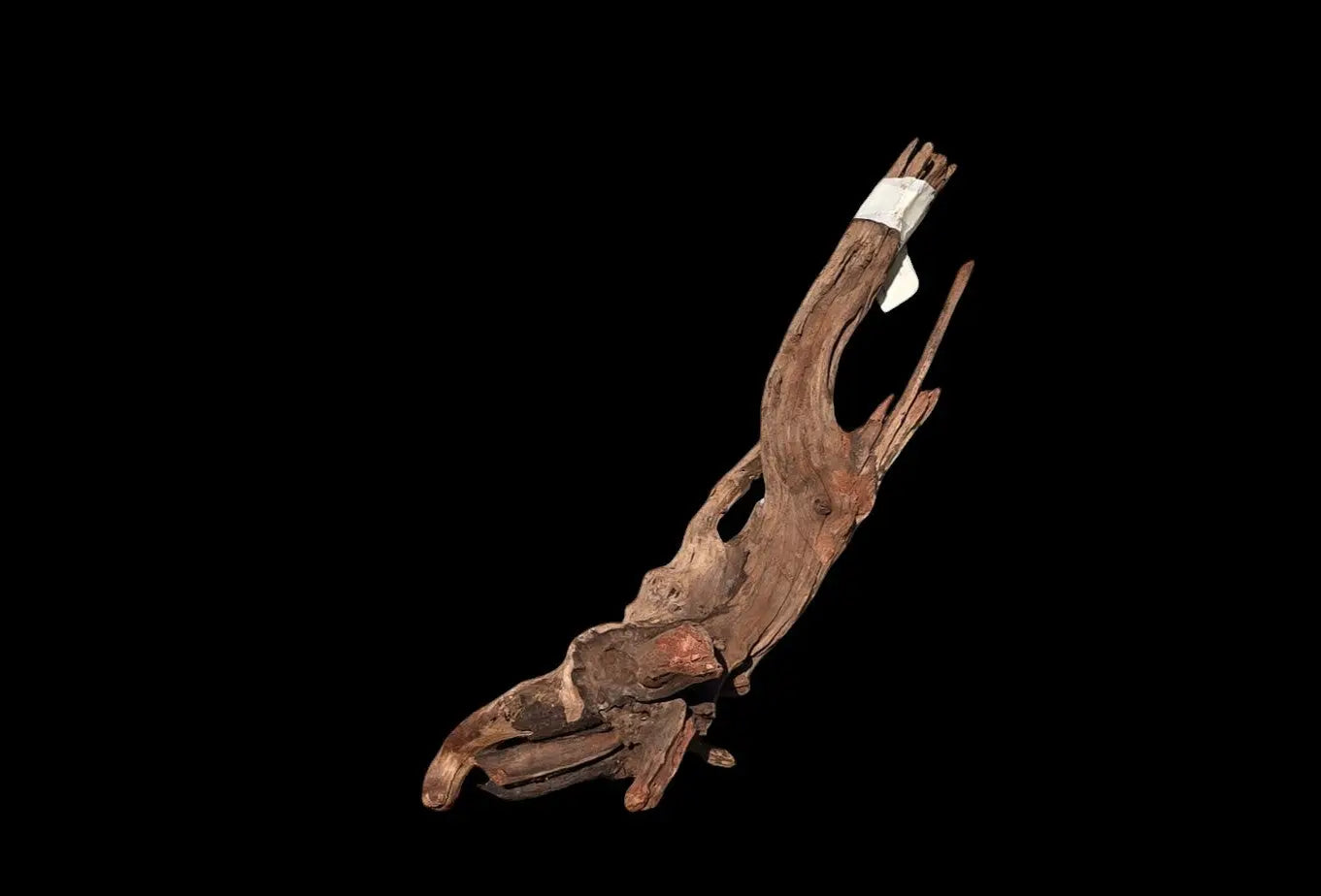 Drift Wood - 52*17*15 - cod.017 AQPET