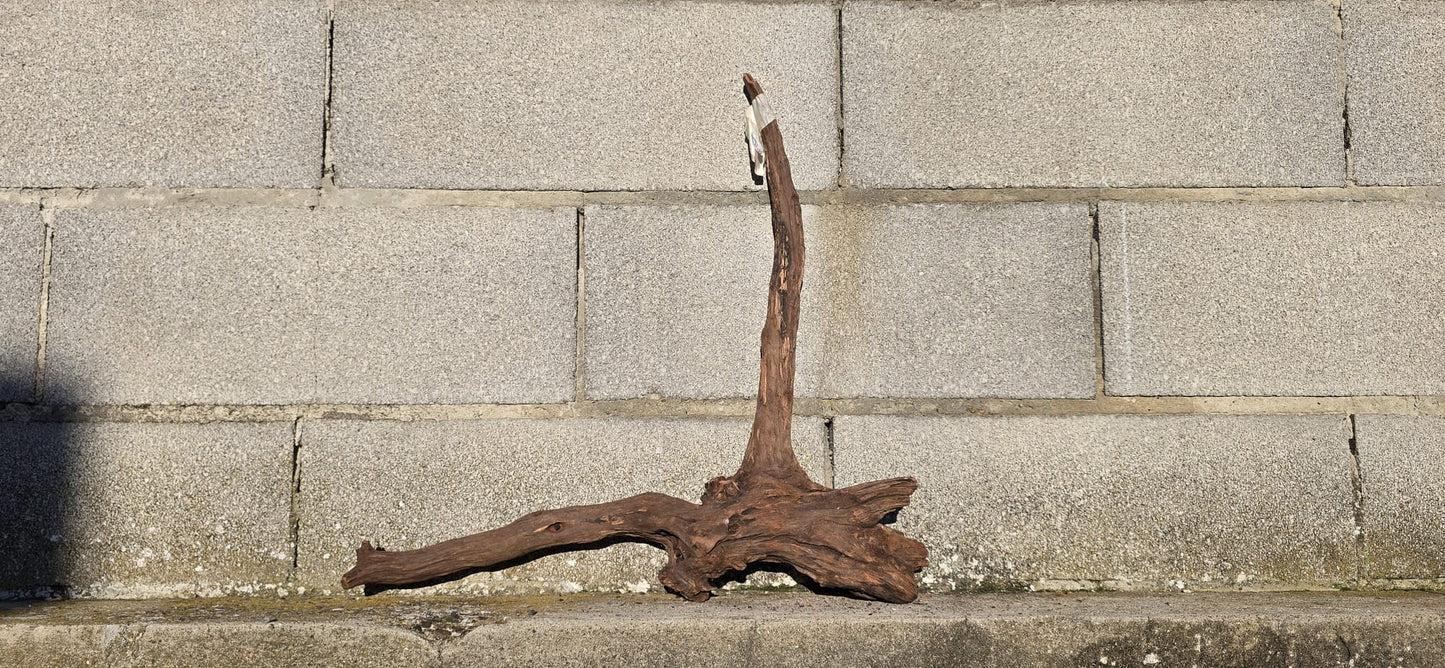 Drift Wood - 51*11*50 - cod.018 AQPET