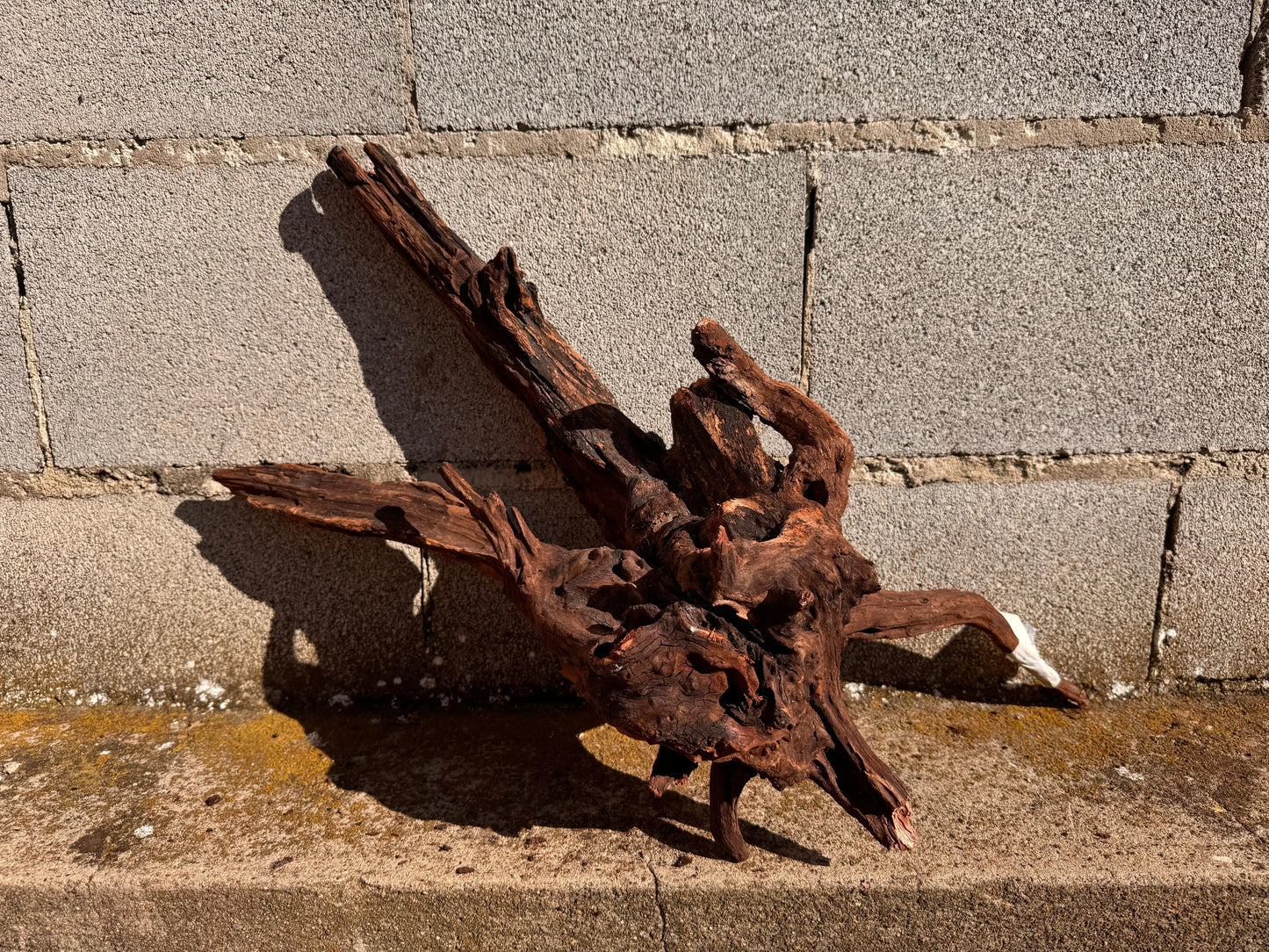 Drift Wood - 57*22*28 - cod.025 AQPET