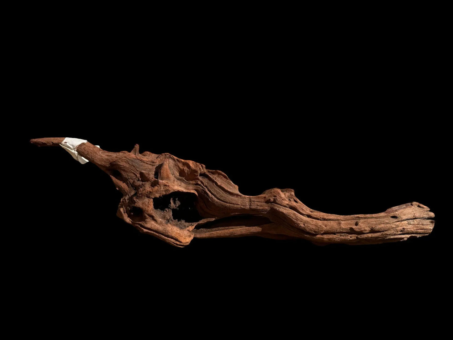 Drift Wood - 54*12*15 - cod.026 AQPET