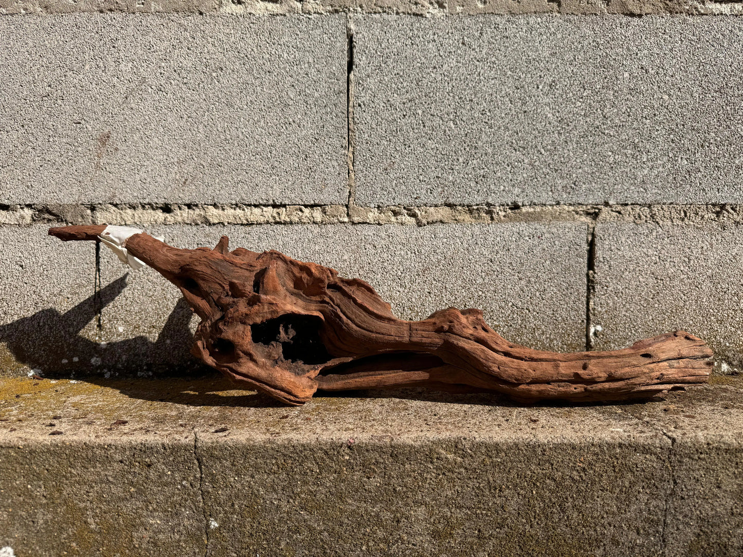 Drift Wood - 54*12*15 - cod.026 AQPET