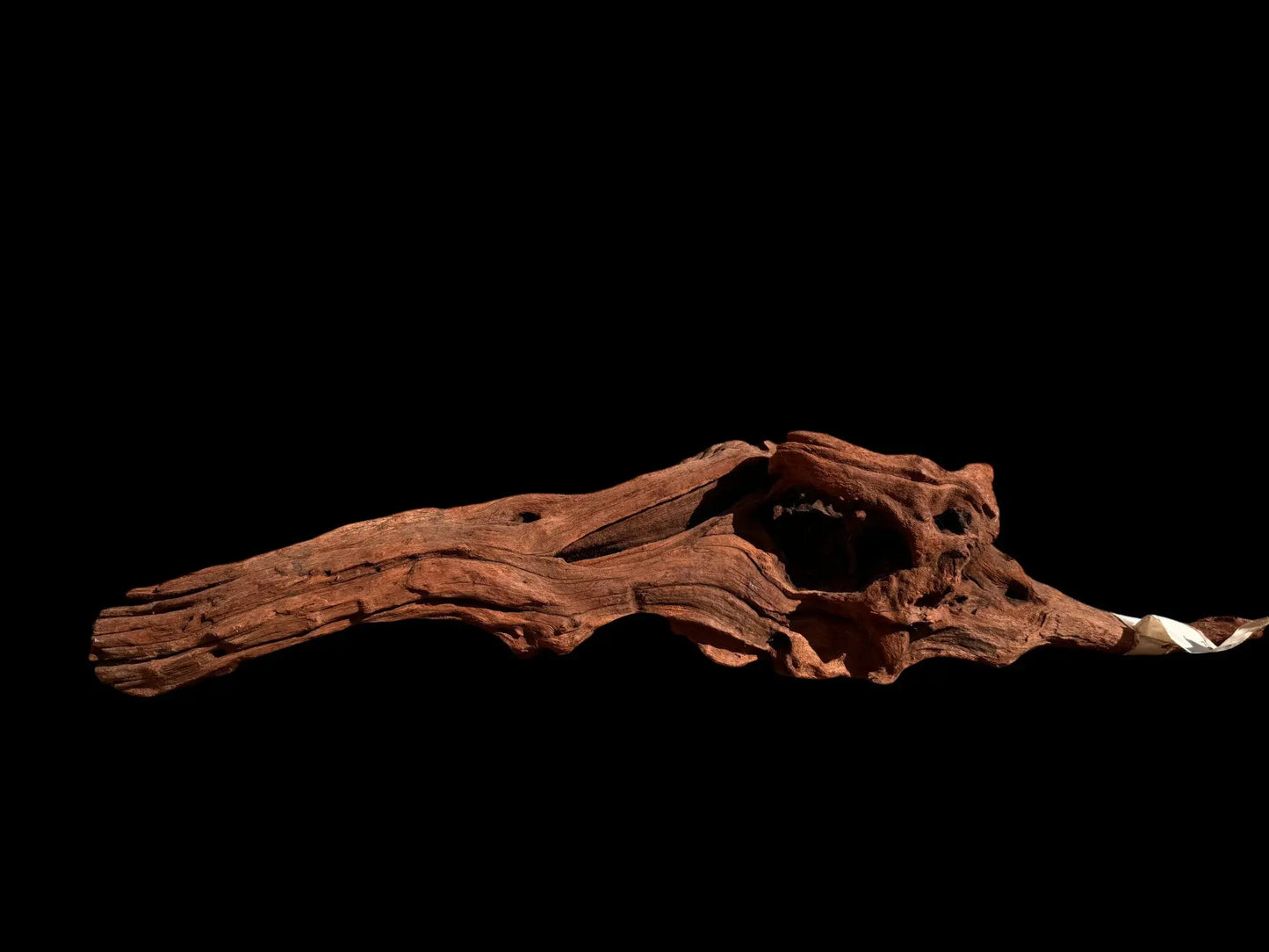 Drift Wood - 54*12*15 - cod.026 AQPET