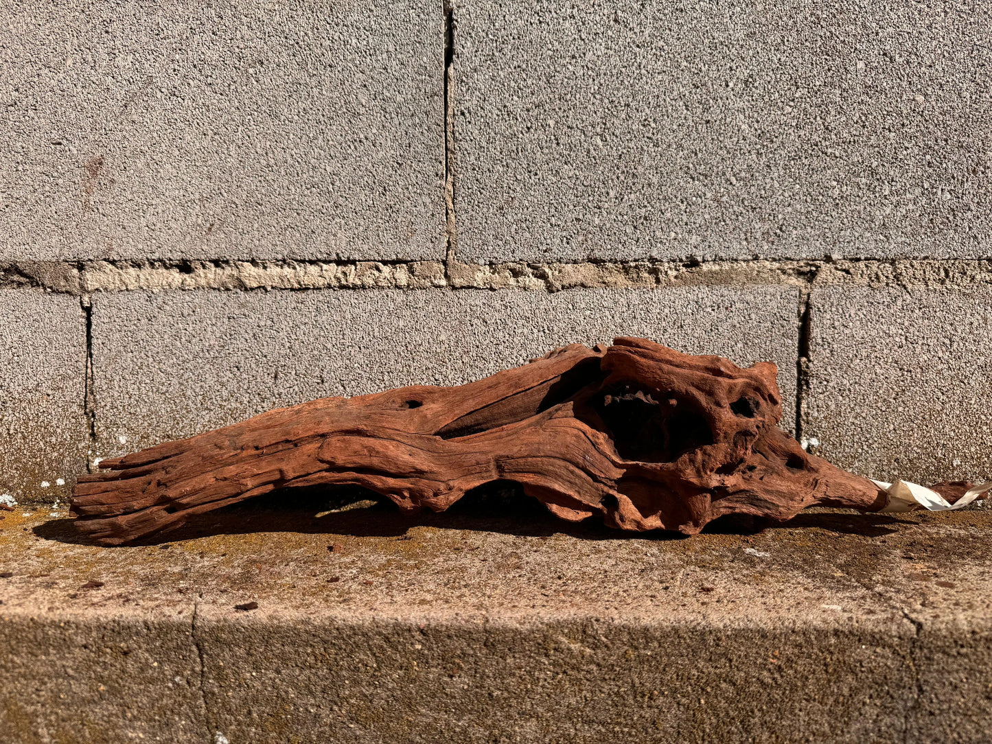 Drift Wood - 54*12*15 - cod.026 AQPET