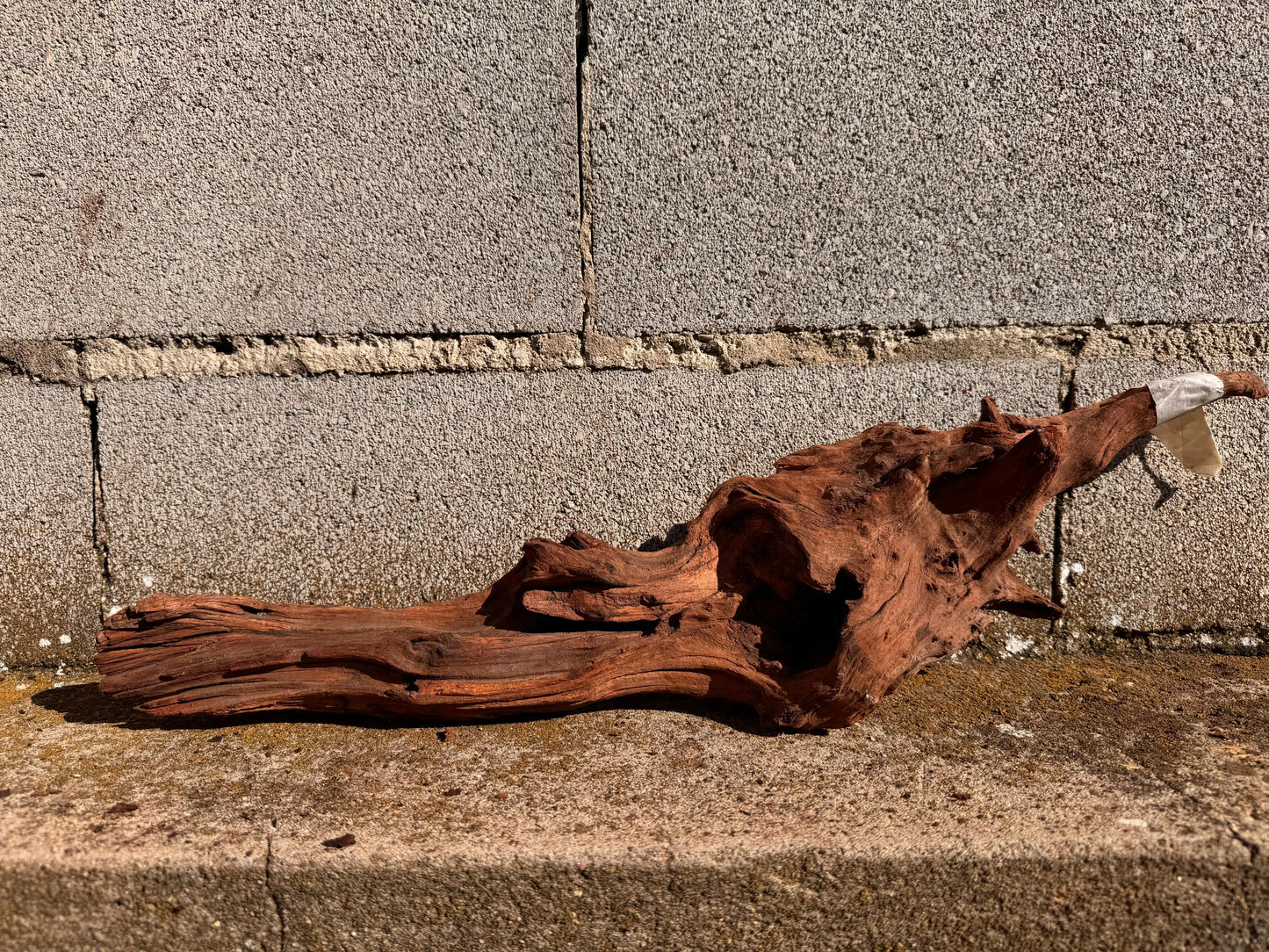 Drift Wood - 54*12*15 - cod.026 AQPET