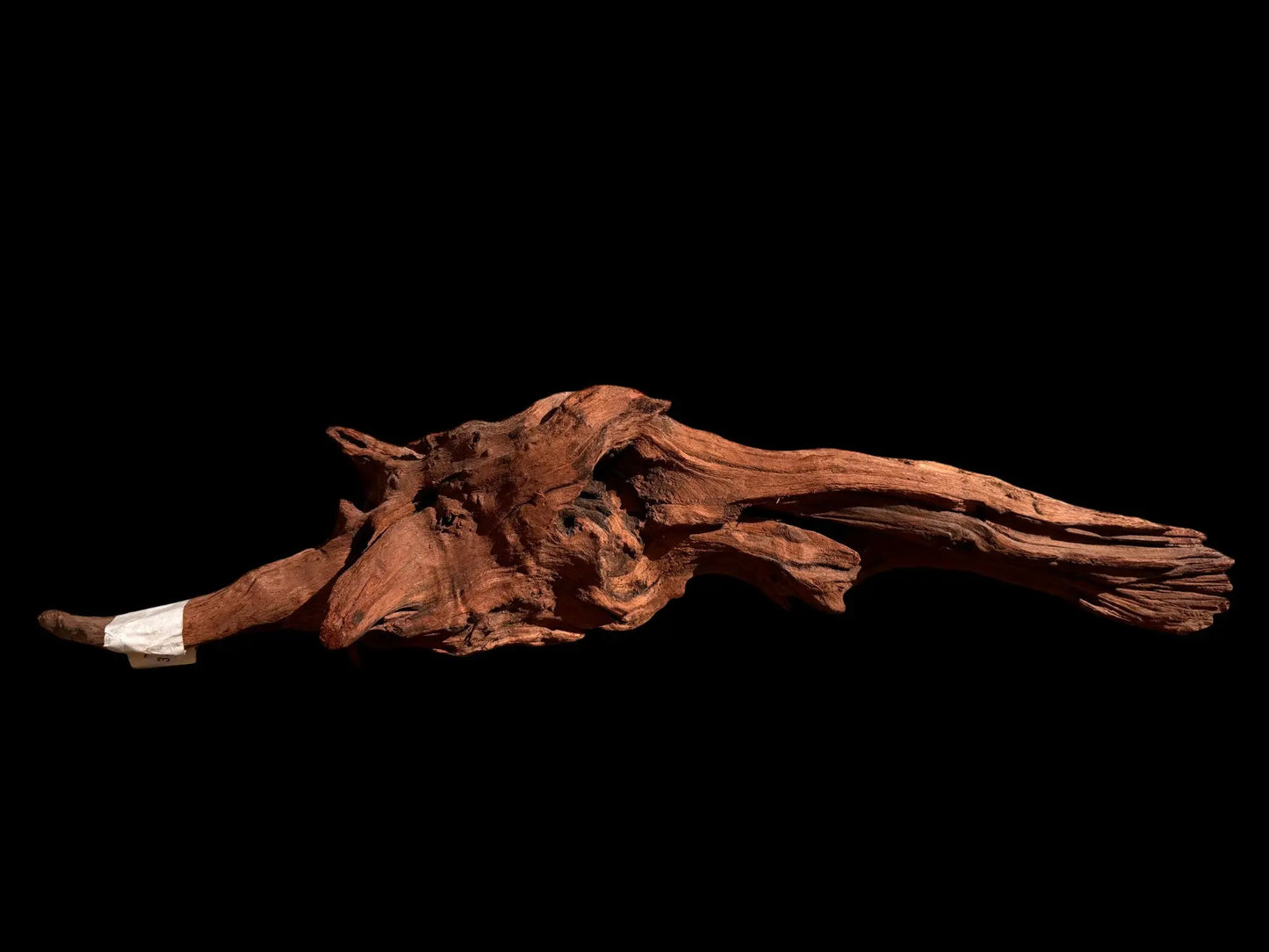 Drift Wood - 54*12*15 - cod.026 AQPET