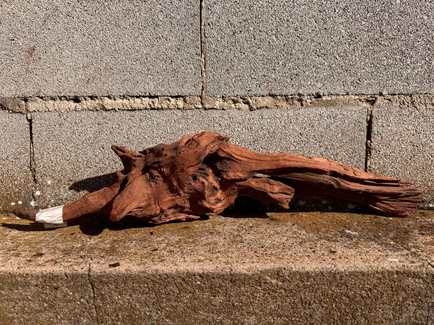 Drift Wood - 54*12*15 - cod.026 AQPET