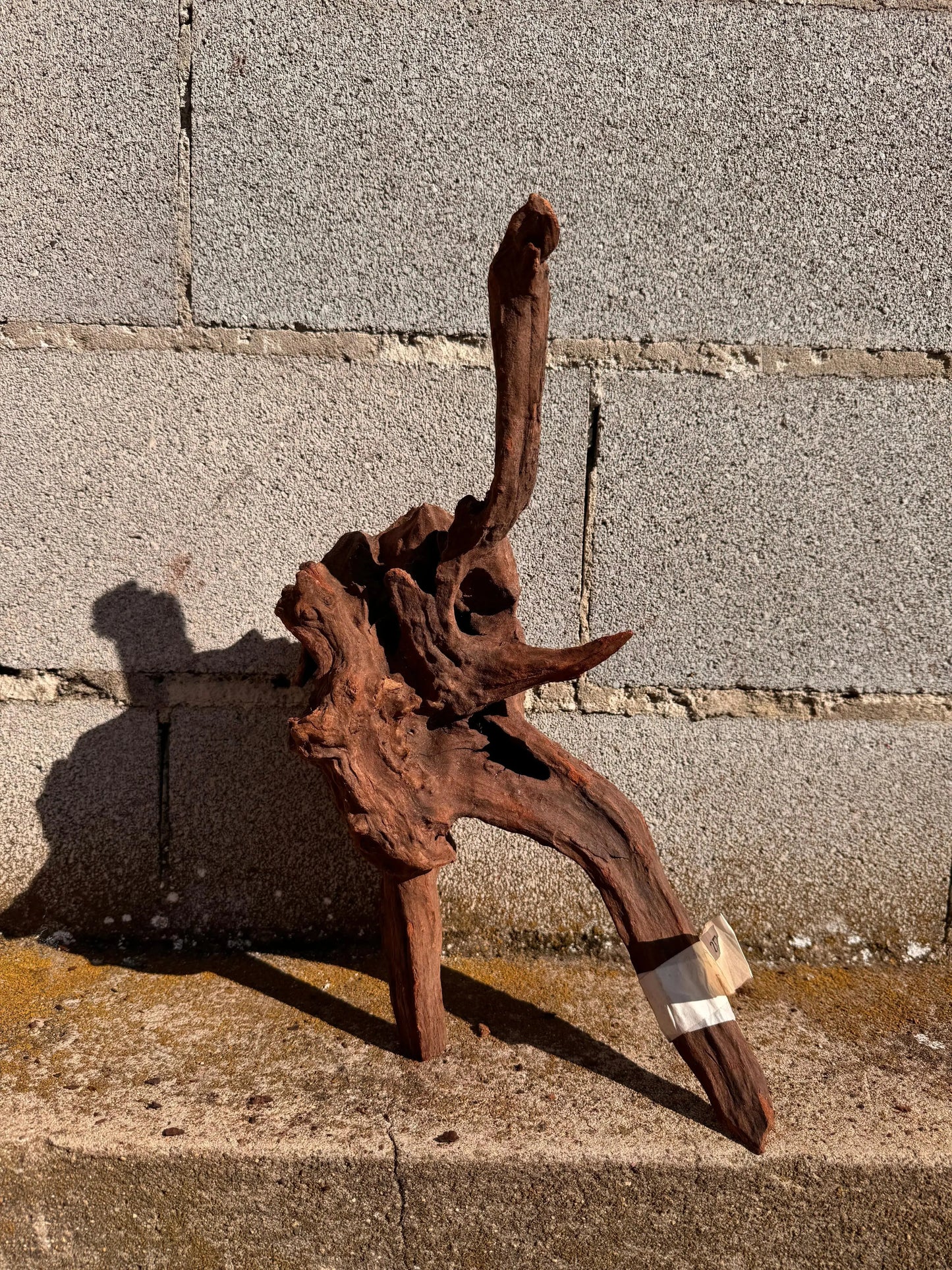 Drift Wood - 42*23*20 - cod.028 AQPET