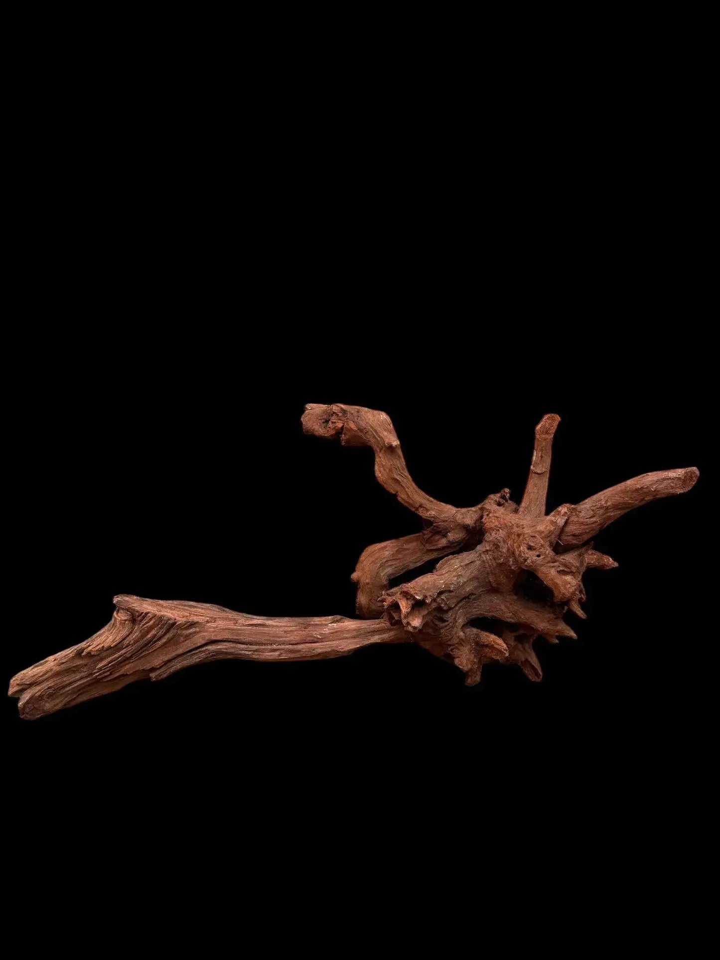 Drift Wood - 75*21*34 - cod.034 AQPET