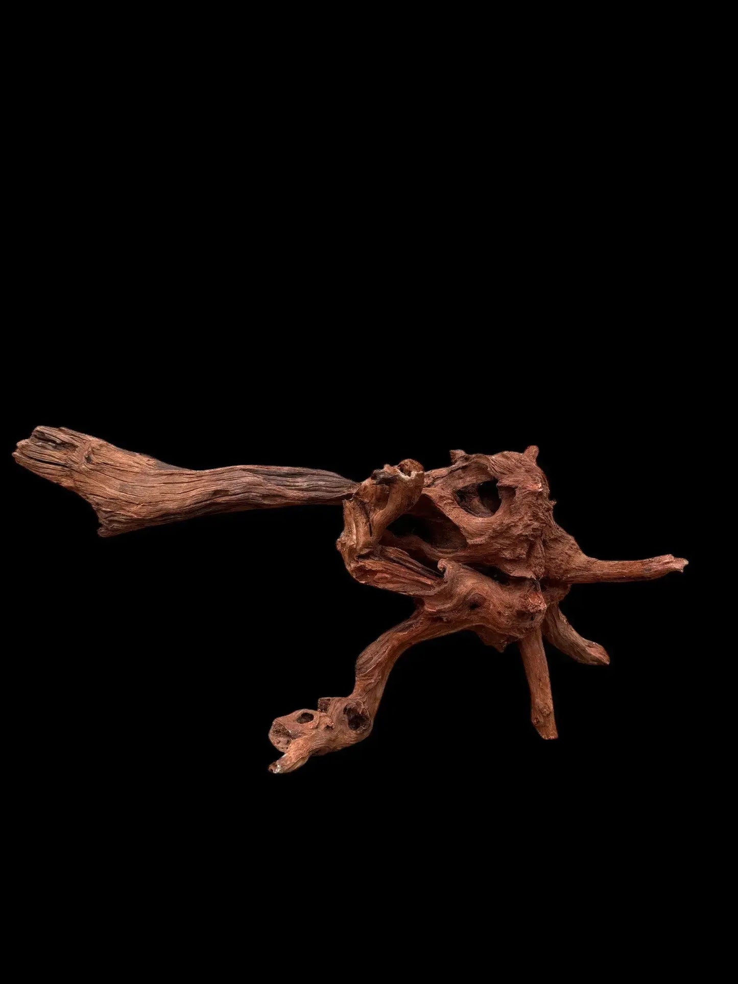 Drift Wood - 75*21*34 - cod.034 AQPET