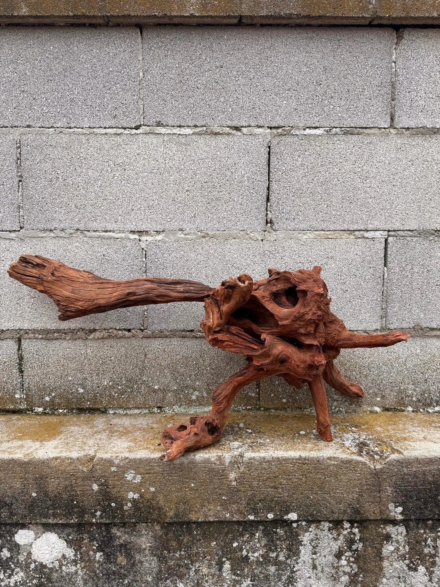 Drift Wood - 75*21*34 - cod.034 AQPET