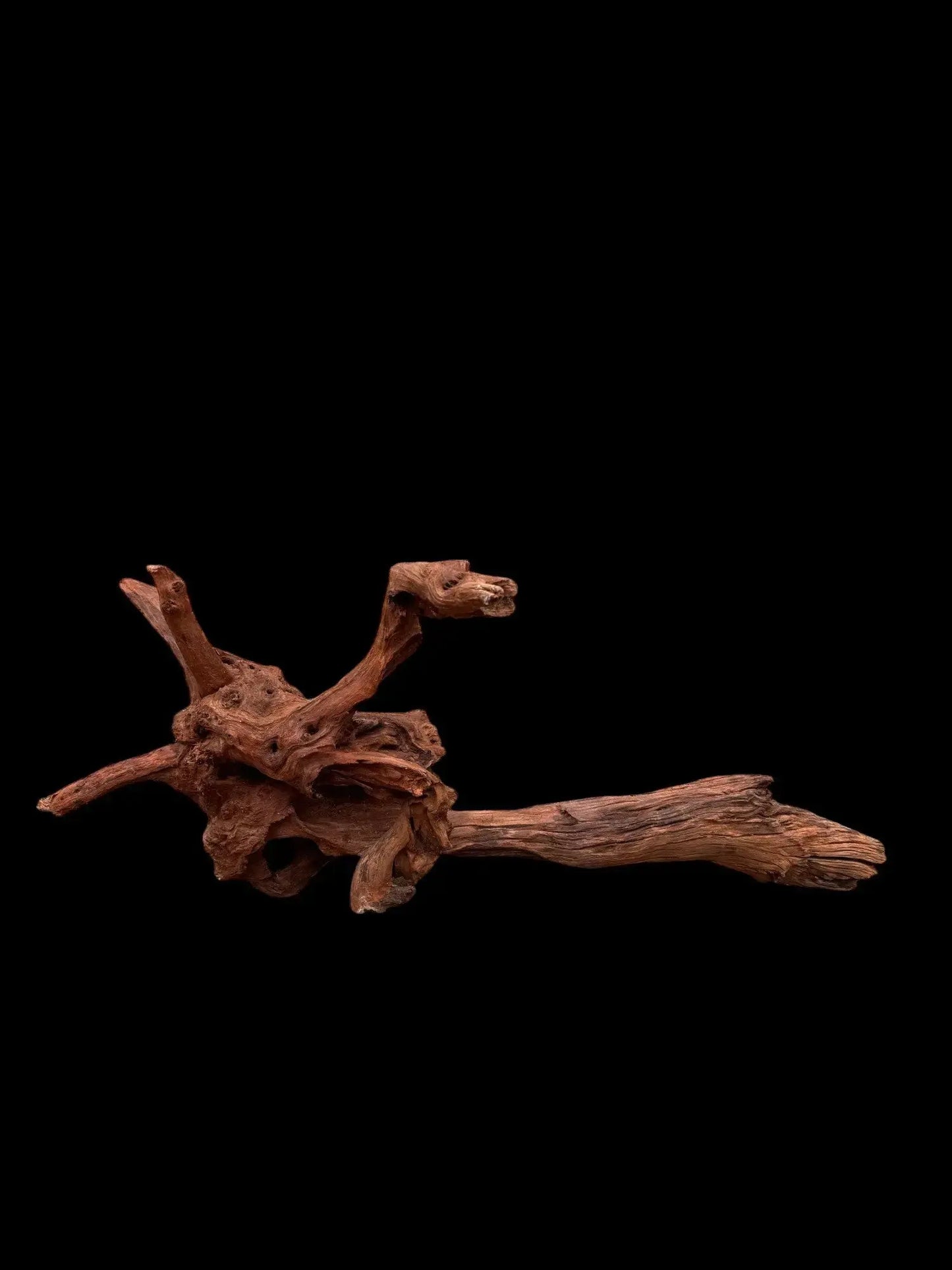 Drift Wood - 75*21*34 - cod.034 AQPET