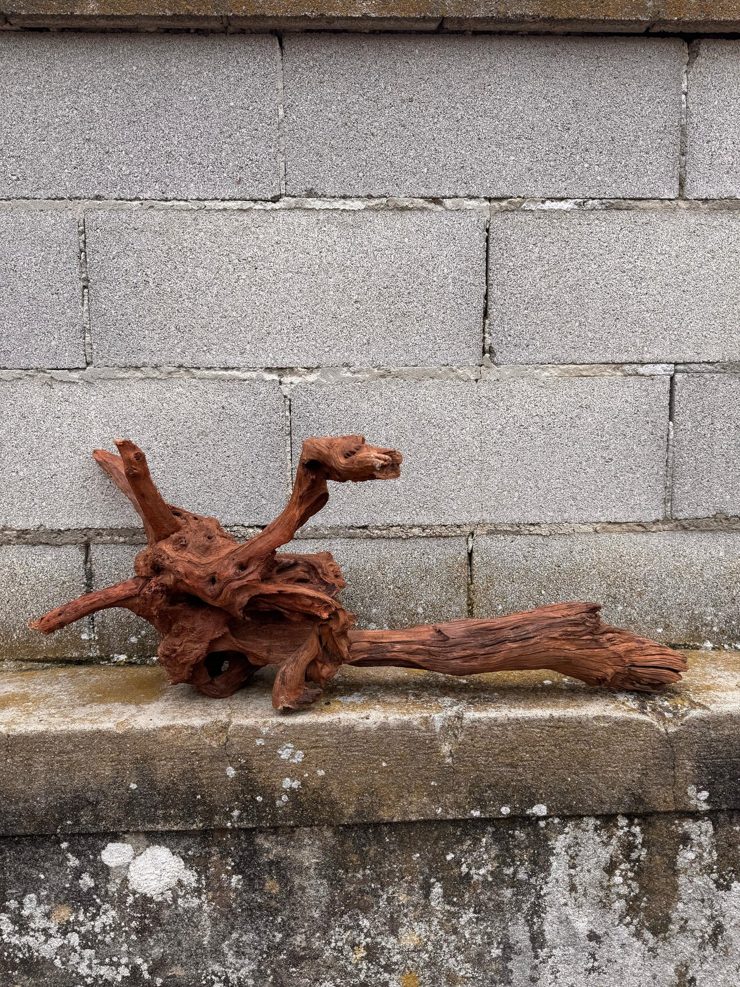 Drift Wood - 75*21*34 - cod.034 AQPET