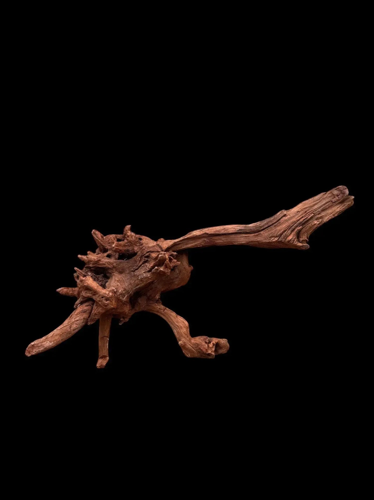 Drift Wood - 75*21*34 - cod.034 AQPET