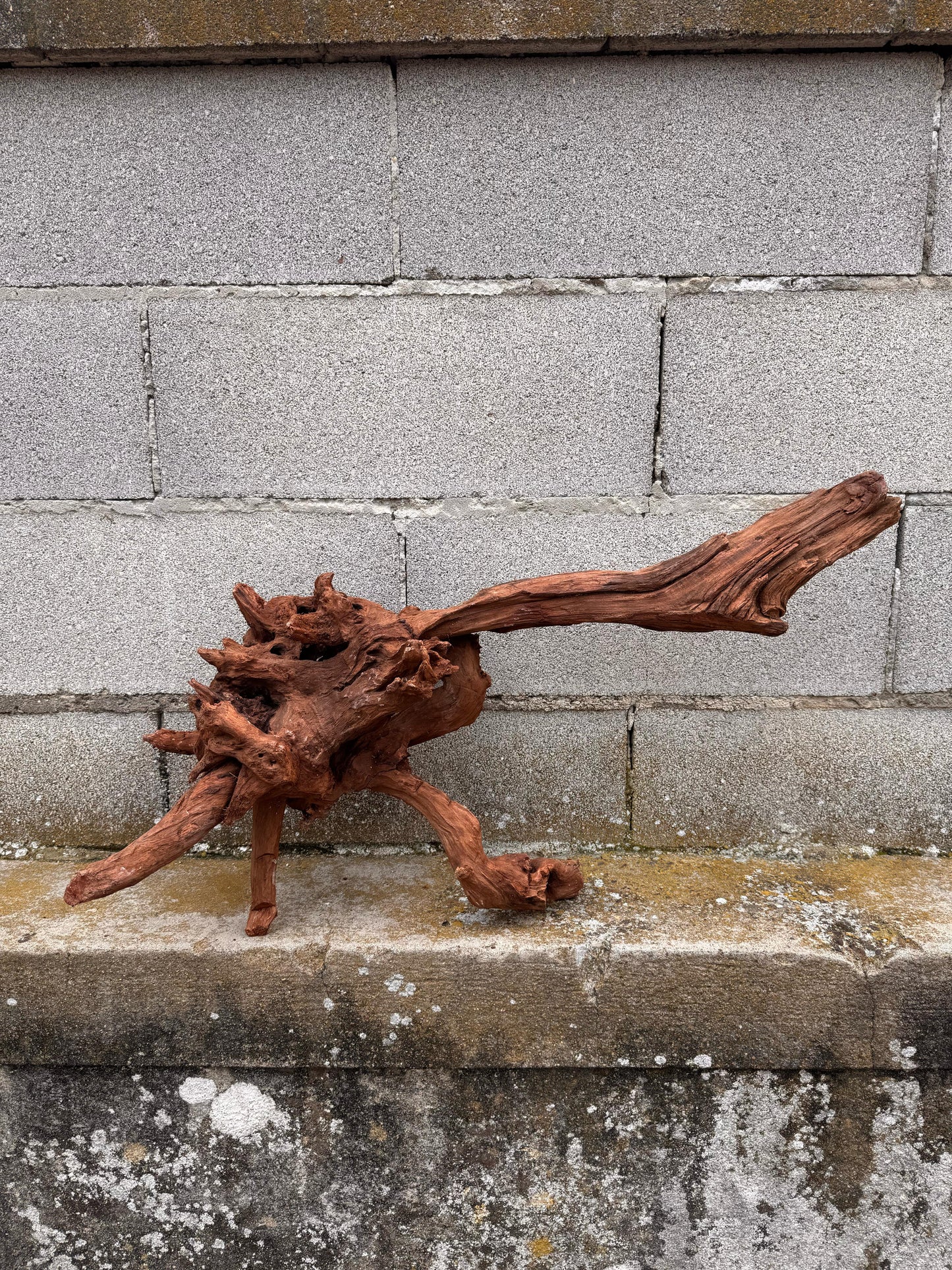 Drift Wood - 75*21*34 - cod.034 AQPET