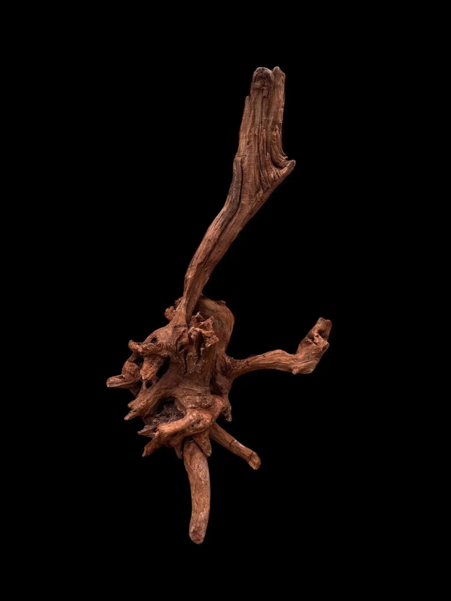 Drift Wood - 75*21*34 - cod.034 AQPET