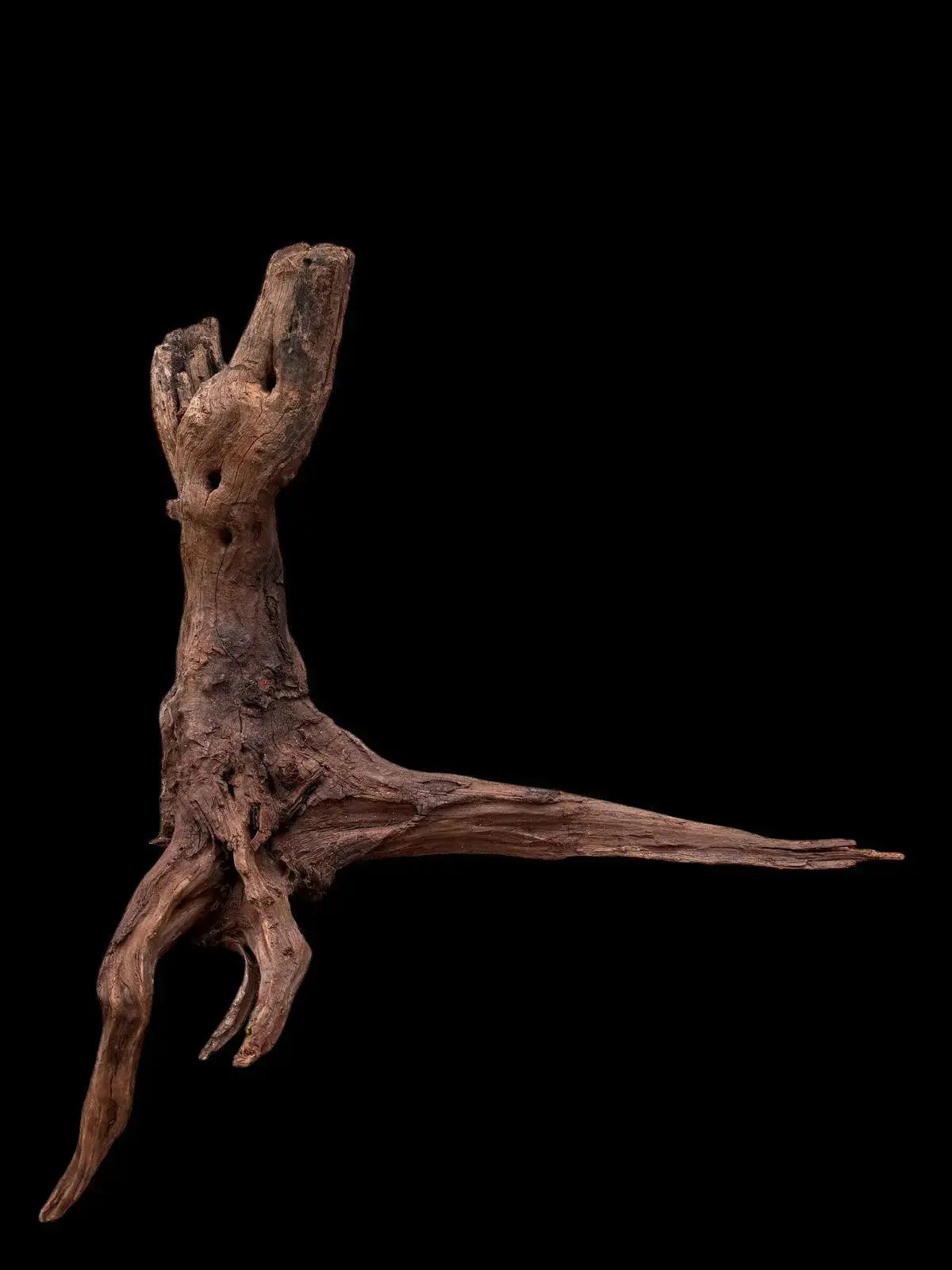 Drift Wood - 53*26*57 - cod.036 AQPET